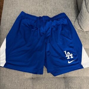 Nike Royal Blue LA Dodgers Athletic Shorts with White Accents